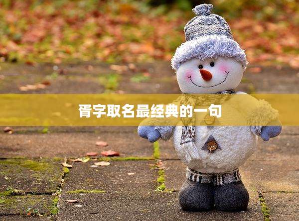 胥字取名最经典的一句