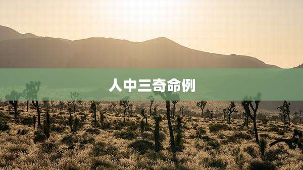 人中三奇命例