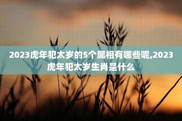 2023虎年犯太岁的5个属相有哪些呢,2023虎年犯太岁生肖是什么