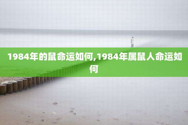 1984年的鼠命运如何,1984年属鼠人命运如何