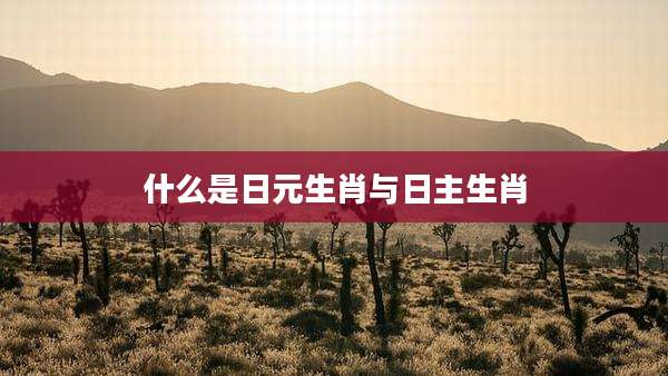 什么是日元生肖与日主生肖