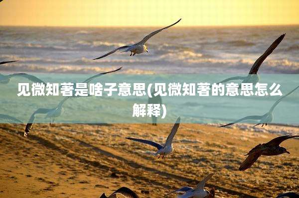 见微知著是啥子意思(见微知著的意思怎么解释)