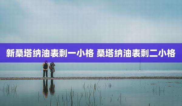 新桑塔纳油表剩一小格 桑塔纳油表剩二小格