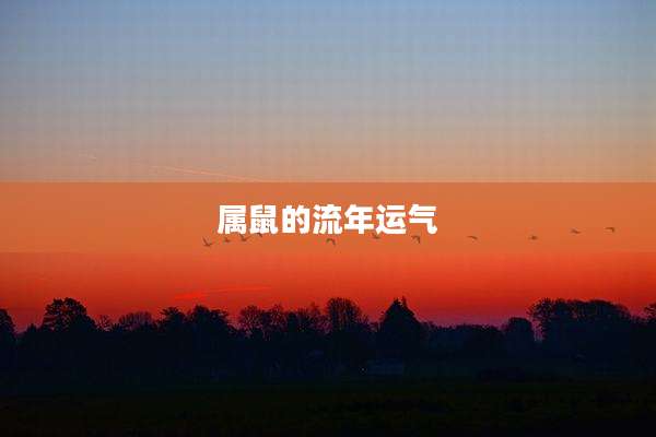 属鼠的流年运气