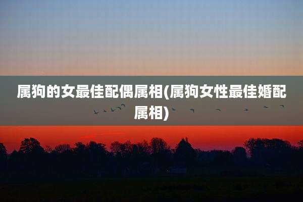 属狗的女最佳配偶属相(属狗女性最佳婚配属相)