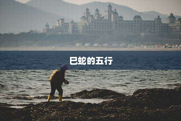 巳蛇的五行