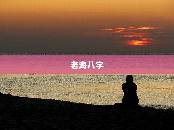 老海八字