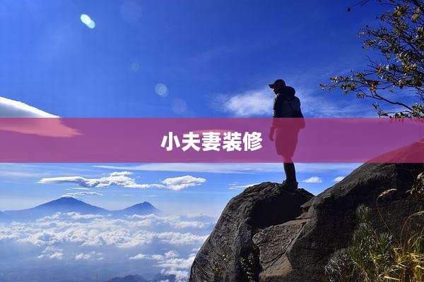 小夫妻装修