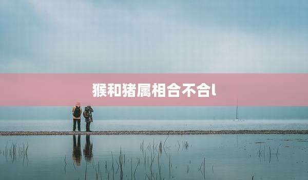 猴和猪属相合不合l