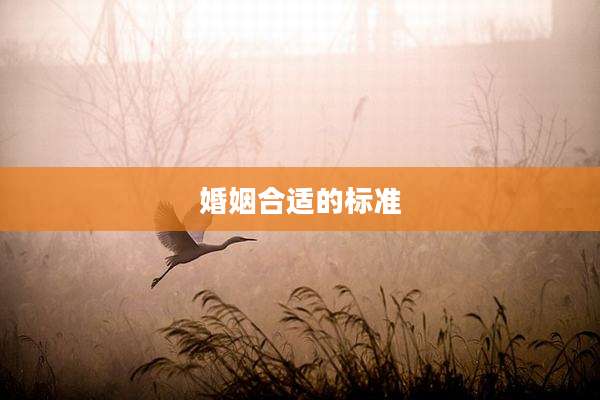 婚姻合适的标准