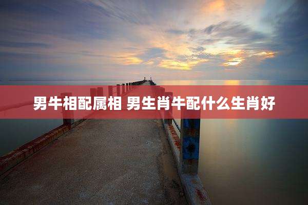 男牛相配属相 男生肖牛配什么生肖好