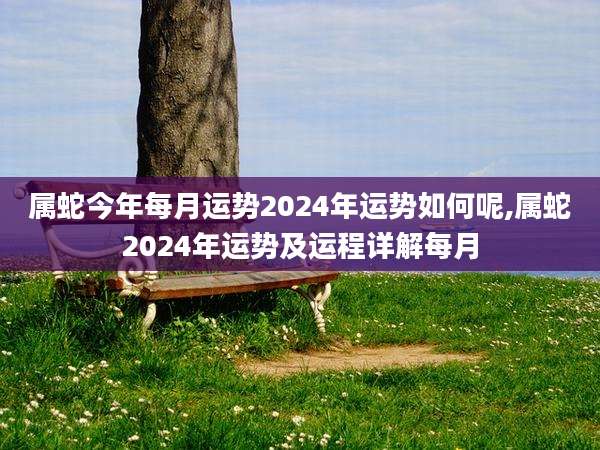 属蛇今年每月运势2024年运势如何呢,属蛇2024年运势及运程详解每月