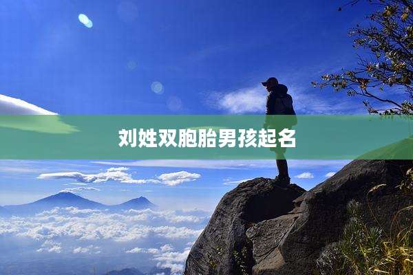 刘姓双胞胎男孩起名