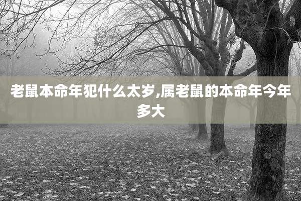 老鼠本命年犯什么太岁,属老鼠的本命年今年多大