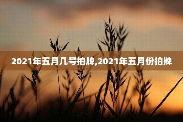 2021年五月几号拍牌,2021年五月份拍牌
