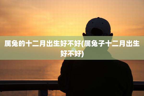 属兔的十二月出生好不好(属兔子十二月出生好不好)