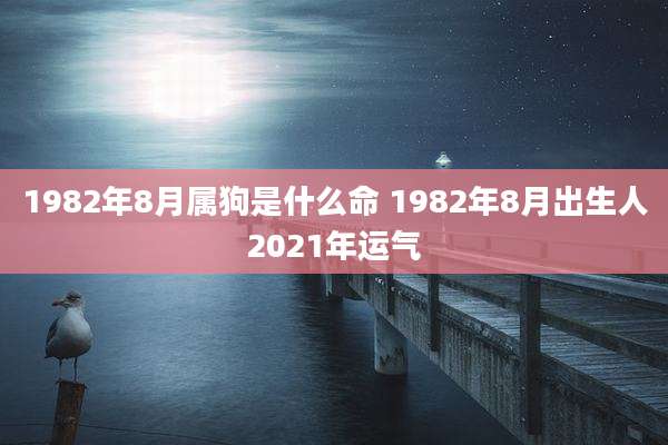 1982年8月属狗是什么命 1982年8月出生人2021年运气