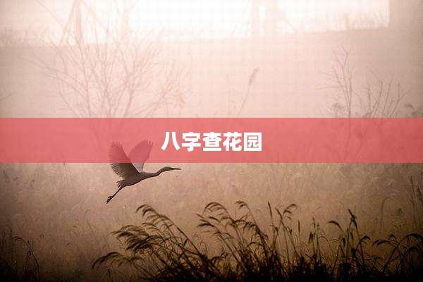 八字查花园