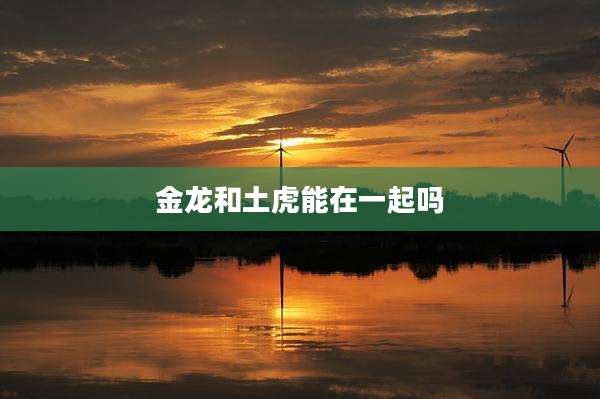 金龙和土虎能在一起吗