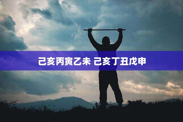 己亥丙寅乙未 己亥丁丑戊申