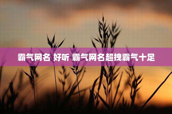 霸气网名 好听 霸气网名超拽霸气十足