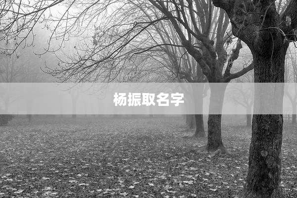 杨振取名字