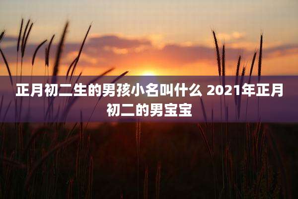 正月初二生的男孩小名叫什么 2021年正月初二的男宝宝