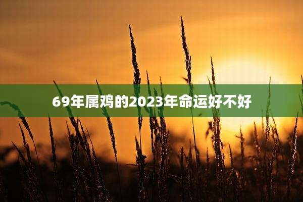 69年属鸡的2023年命运好不好