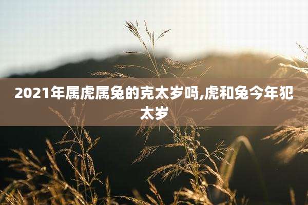 2021年属虎属兔的克太岁吗,虎和兔今年犯太岁