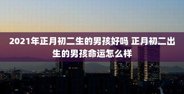 2021年正月初二生的男孩好吗 正月初二出生的男孩命运怎么样