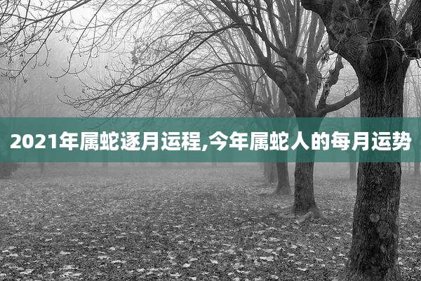 2021年属蛇逐月运程,今年属蛇人的每月运势