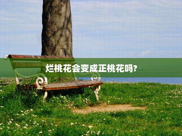 烂桃花会变成正桃花吗?