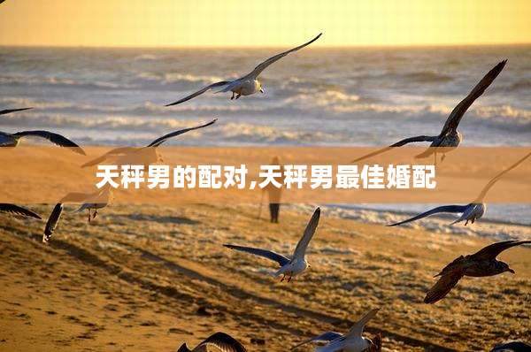 天秤男的配对,天秤男最佳婚配
