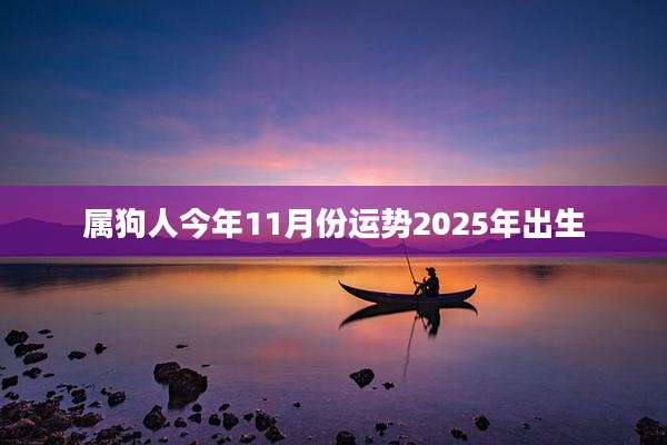 属狗人今年11月份运势2025年出生