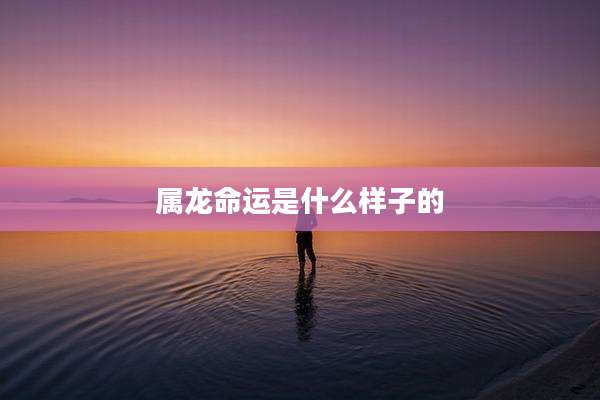 属龙命运是什么样子的
