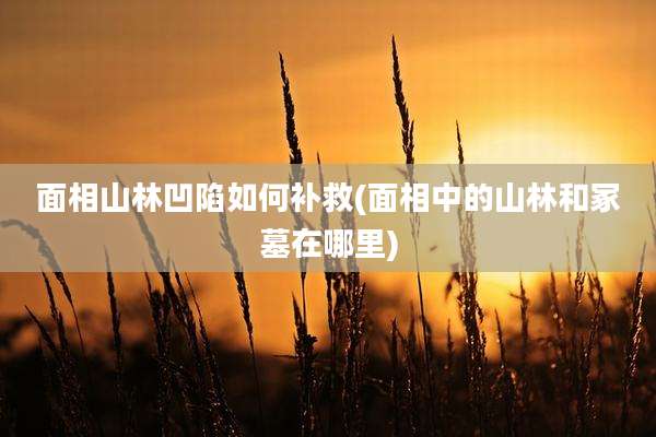 面相山林凹陷如何补救(面相中的山林和冢墓在哪里)