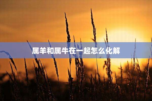 属羊和属牛在一起怎么化解