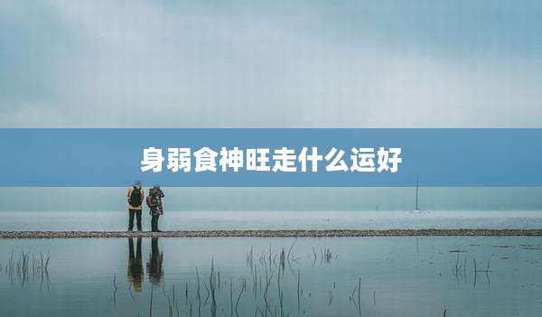 身弱食神旺走什么运好