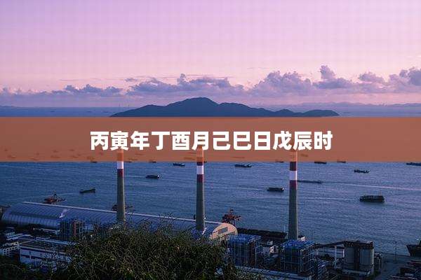 丙寅年丁酉月己巳日戊辰时