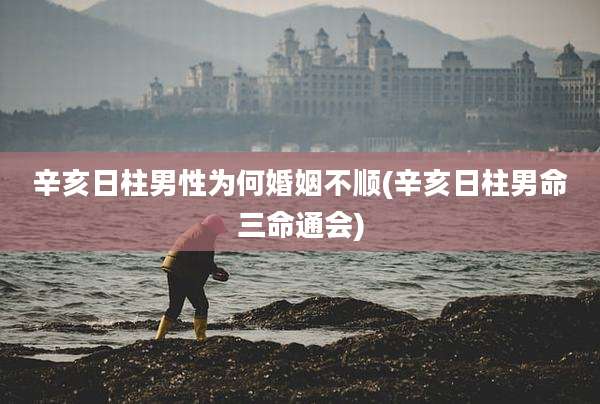 辛亥日柱男性为何婚姻不顺(辛亥日柱男命三命通会)