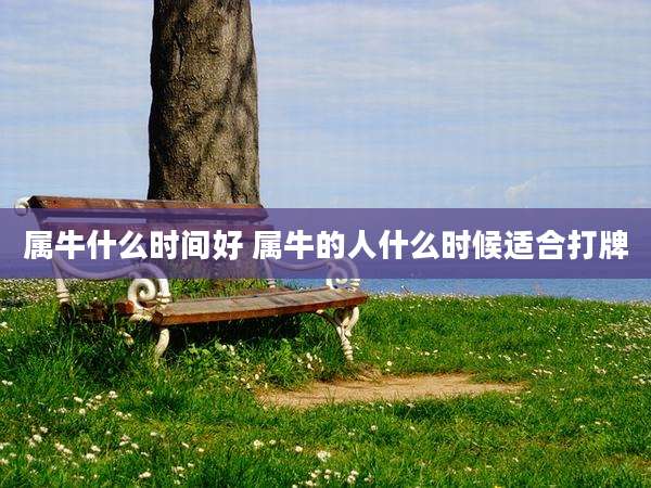 属牛什么时间好 属牛的人什么时候适合打牌