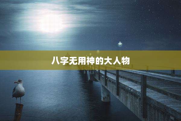 八字无用神的大人物