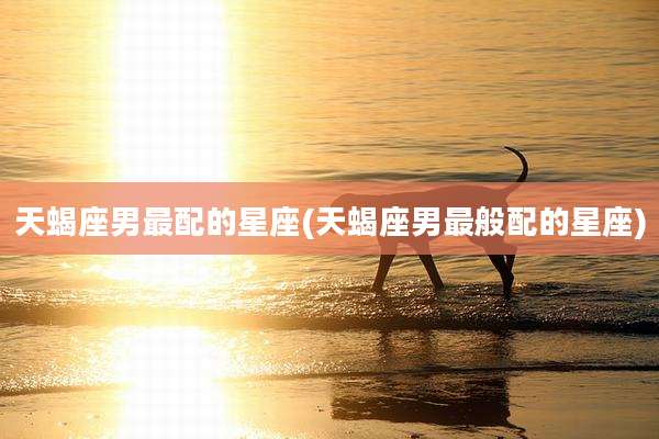天蝎座男最配的星座(天蝎座男最般配的星座)