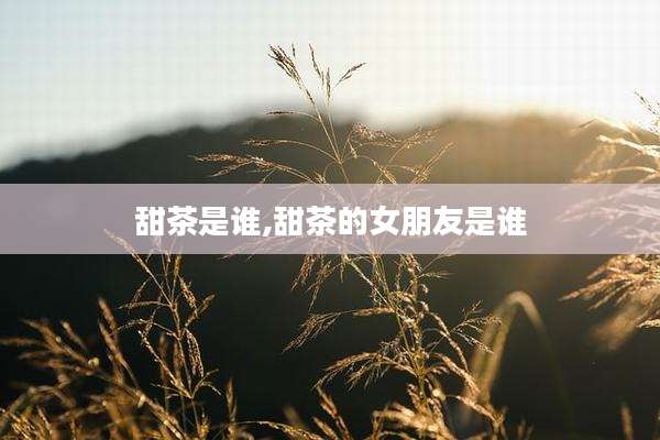 甜茶是谁,甜茶的女朋友是谁
