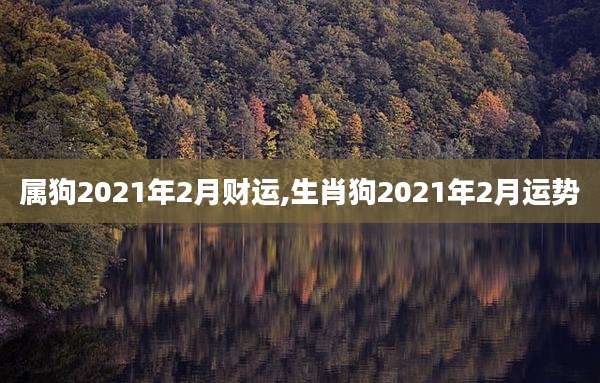 属狗2021年2月财运,生肖狗2021年2月运势
