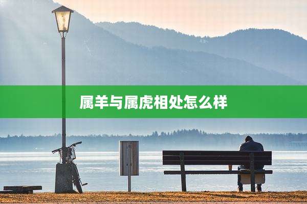 属羊与属虎相处怎么样
