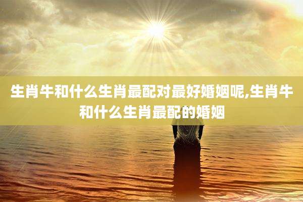 生肖牛和什么生肖最配对最好婚姻呢,生肖牛和什么生肖最配的婚姻