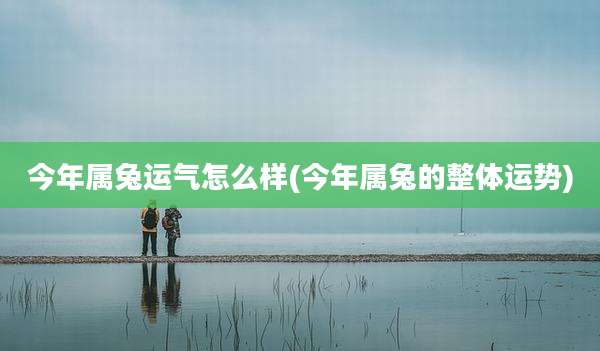 今年属兔运气怎么样(今年属兔的整体运势)