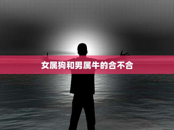 女属狗和男属牛的合不合