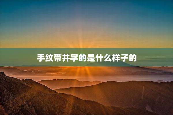 手纹带井字的是什么样子的